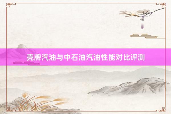 壳牌汽油与中石油汽油性能对比评测