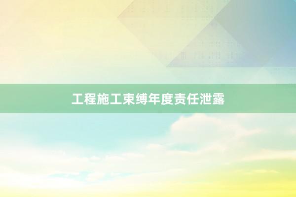 工程施工束缚年度责任泄露